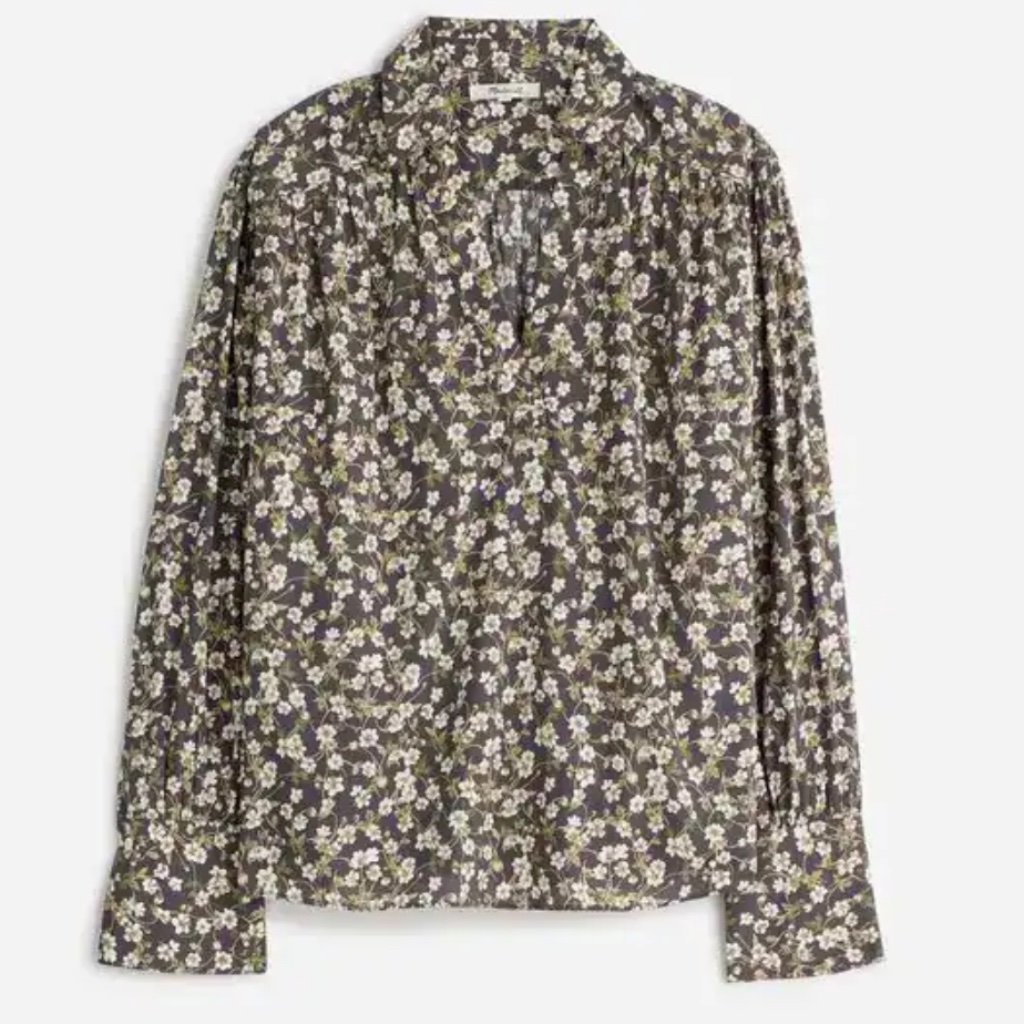 Madewell V-Neck Long Sleeve Blouse